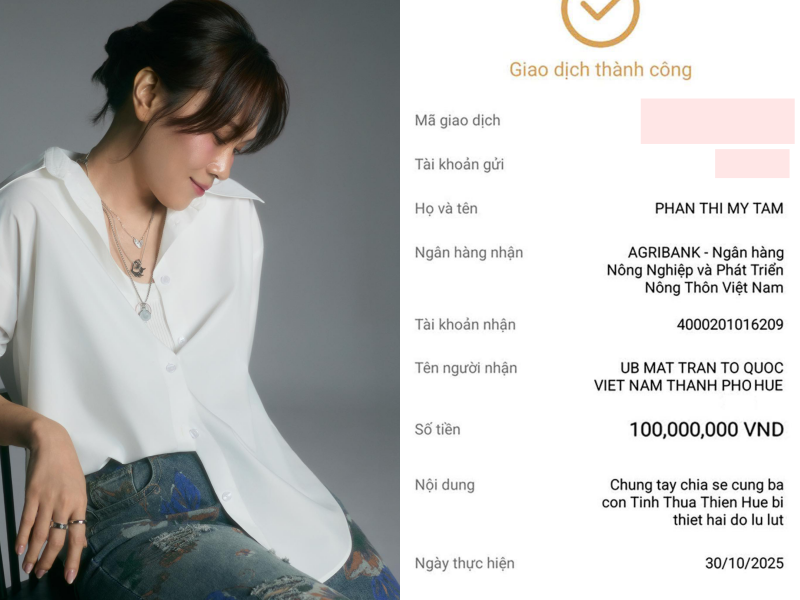 Nghệ sĩ đóng góp ủng hộ bà con vùng lũ