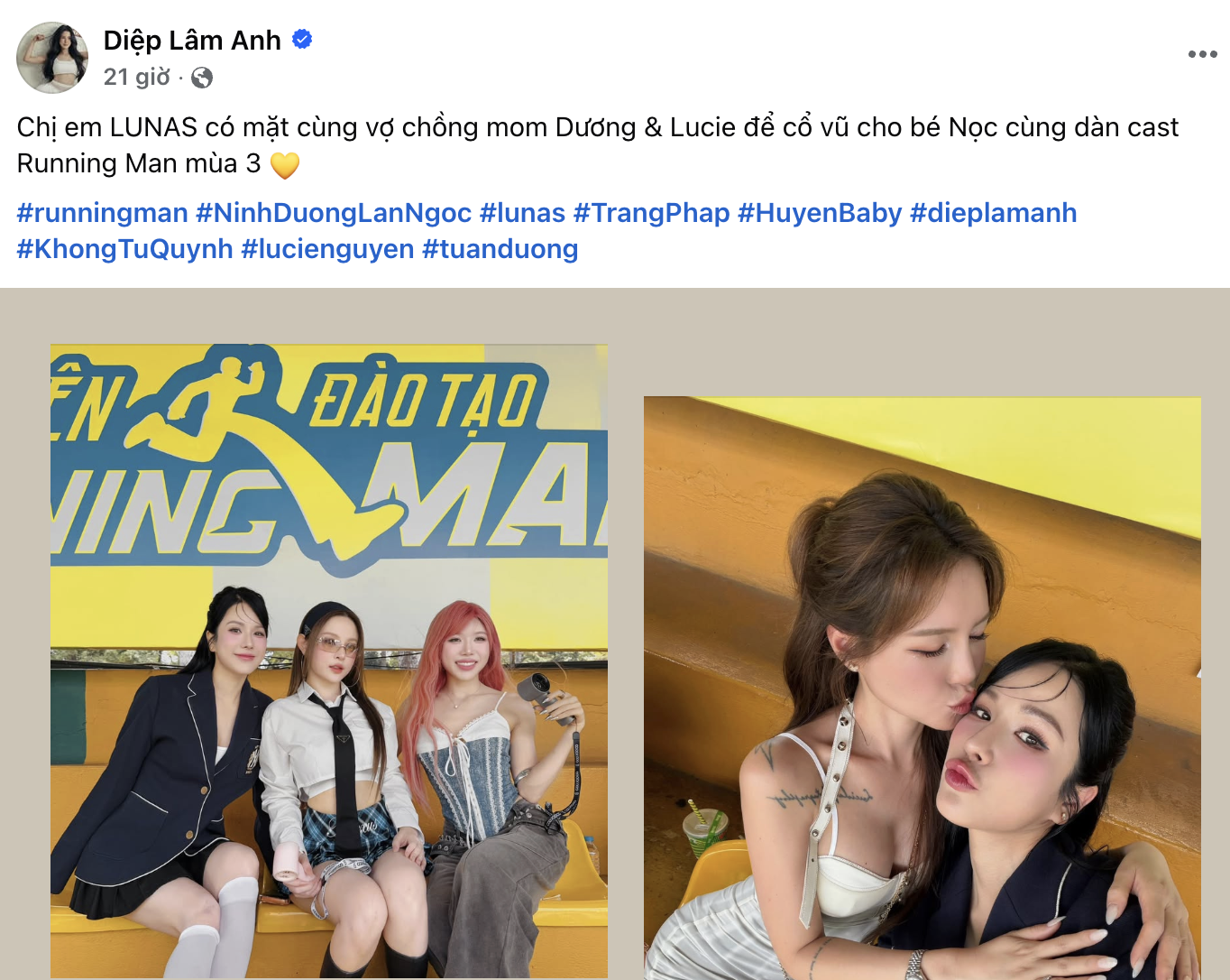 Diệp Lâm Anh đăng ảnh sự kiện không có Lan Ngọc