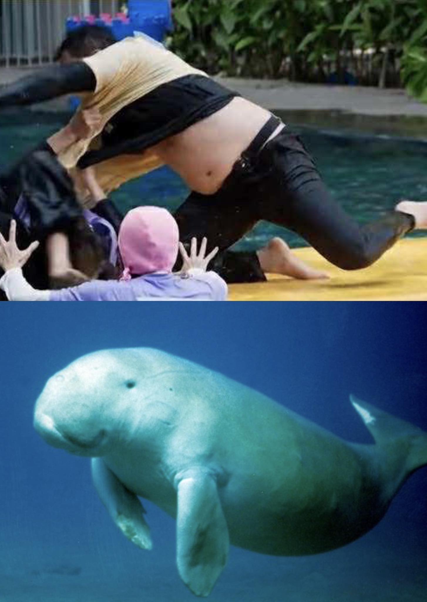 Trấn Thành tự dìm