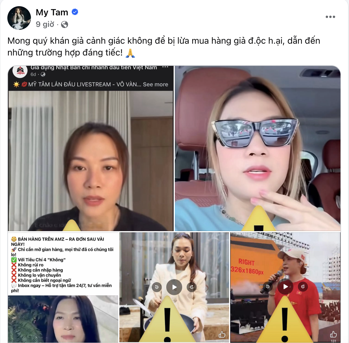 Mỹ Tâm cảnh báo khẩn đến khán giả